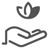 Werterhalt und Pflege