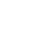 xing icon