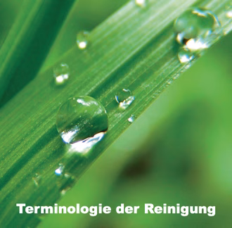 Wassertropfen auf einem grÃ¼nen Blatt